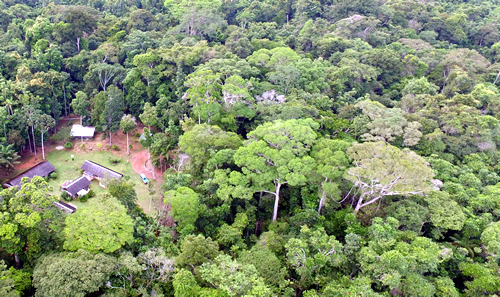 Iwokrama International Centre Iwokrama The Green Heart Of Guyana